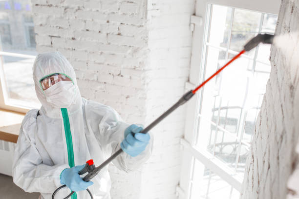 Best Residential Mold Inspection & Testing  in Point Clear, AL