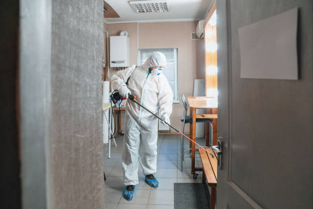 Best Airborne Mold Testing  in Point Clear, AL